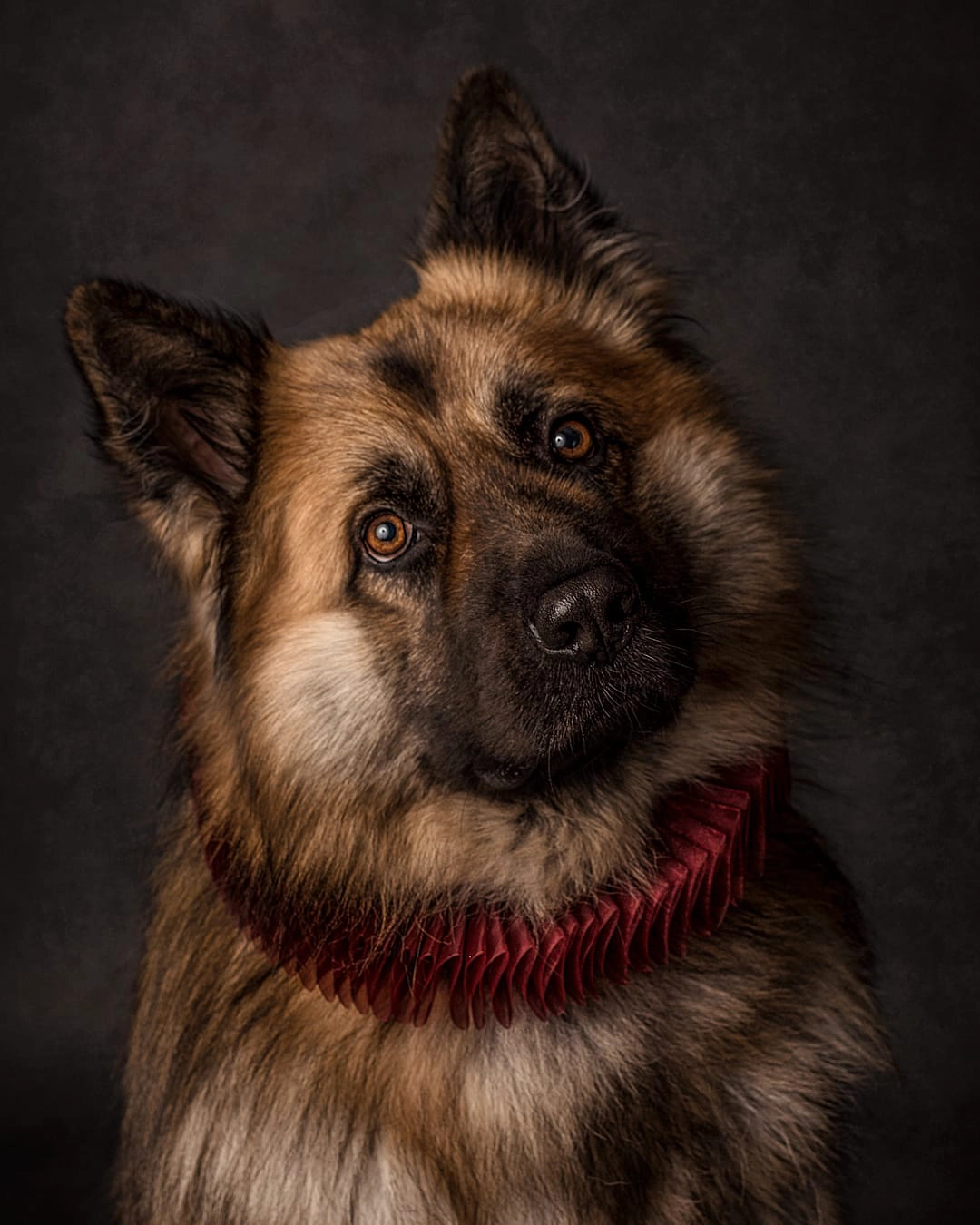 Foto de Frodo